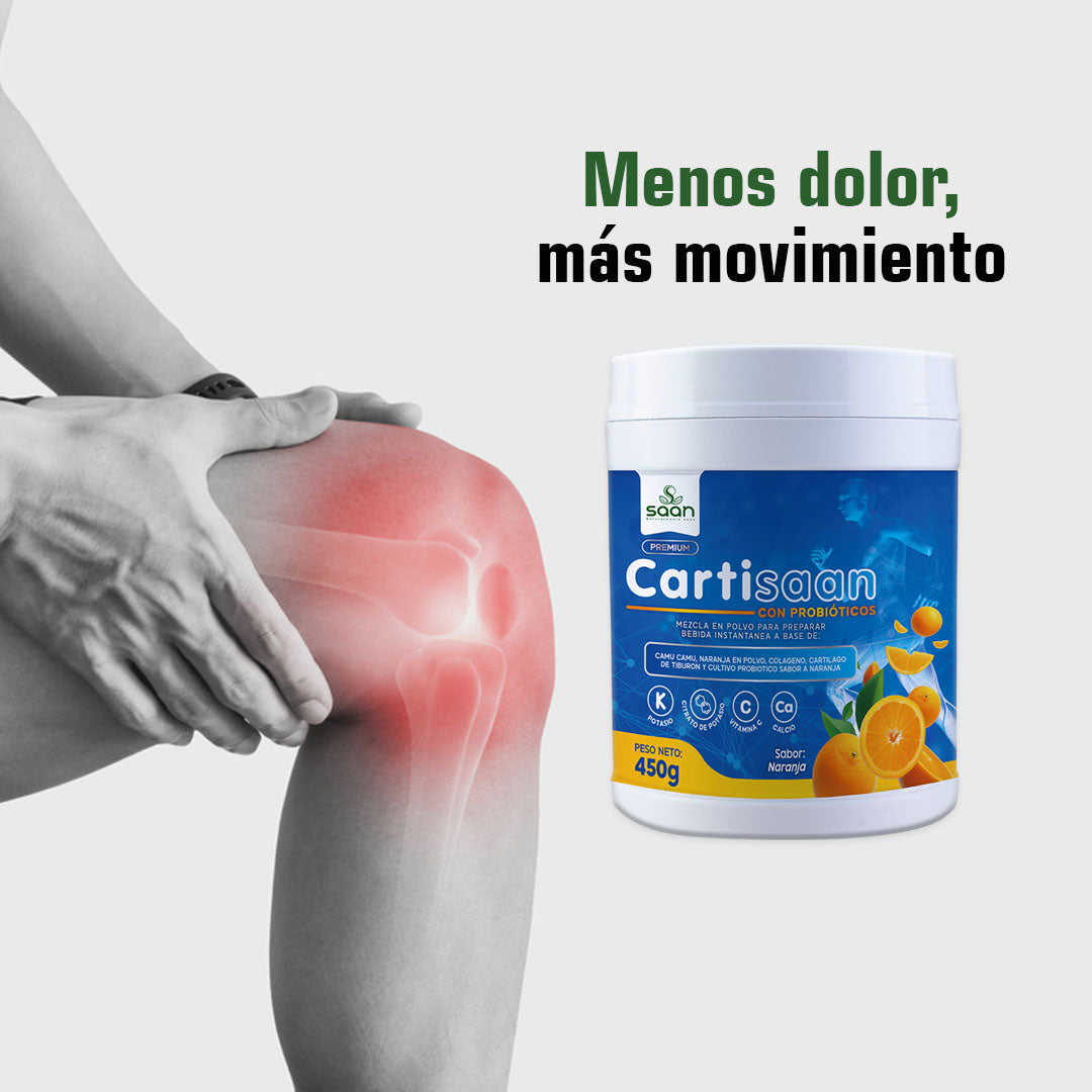 CARTISAAN